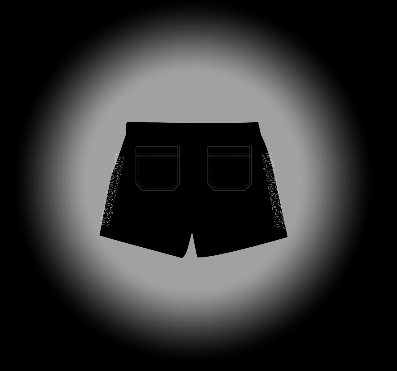 HVNSNT “BLKOUT” Mesh Shorts